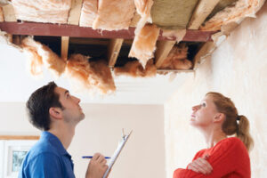 Ceiling Repair